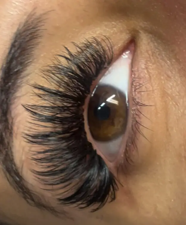 volume eyelash extensions at belashii in west saint paul, mn