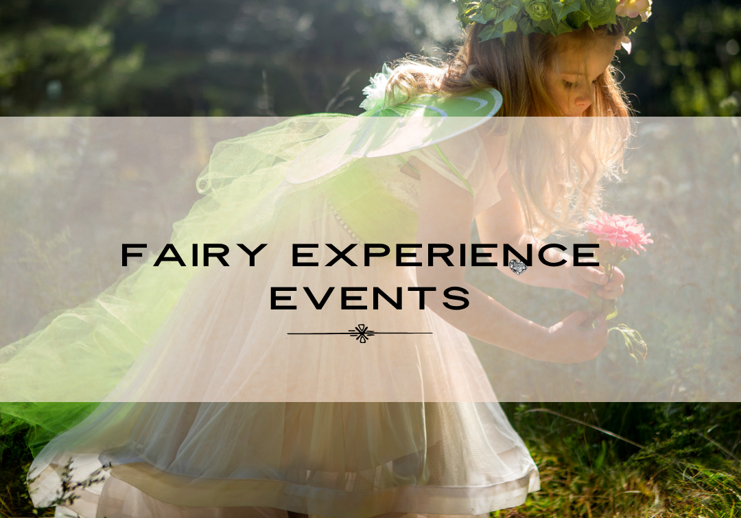 fairy experience belashii