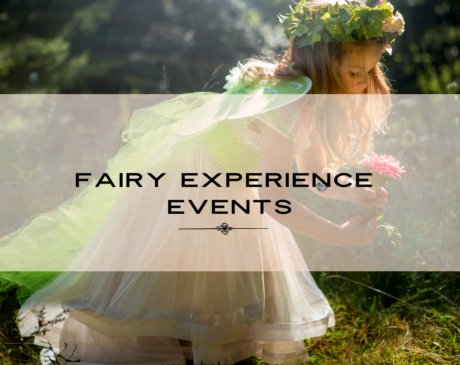 fairy experience belashii