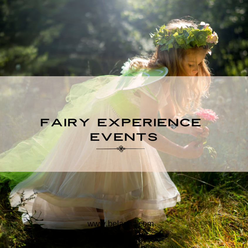 FAIRY EXPERIENCE EVENTS IN THE TWIN CITIES, MN.