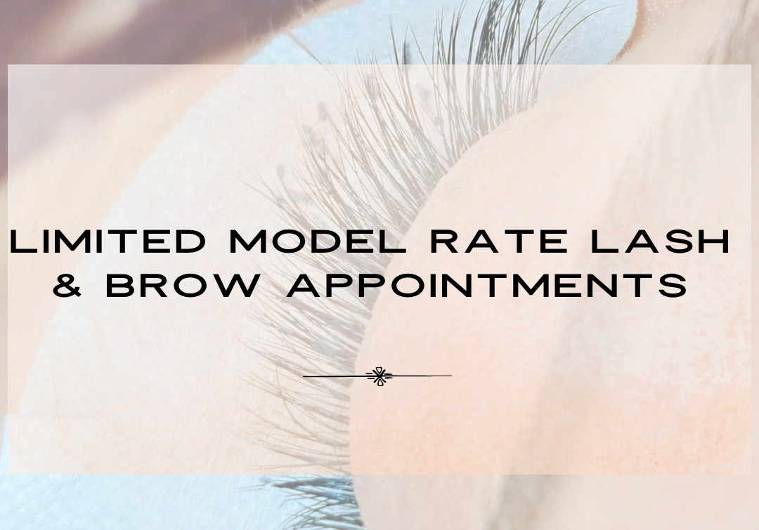 model rate lash and brow appointments