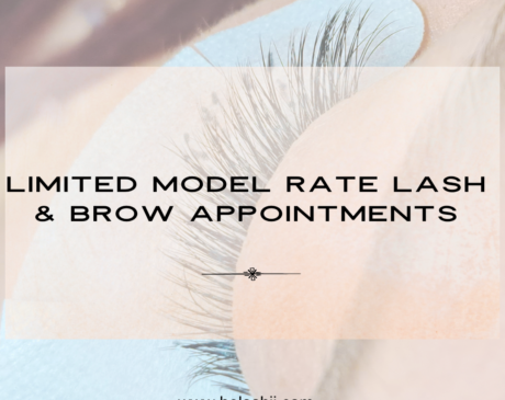 model rate lash and brow appointments