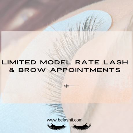 model rate lash and brow appointments